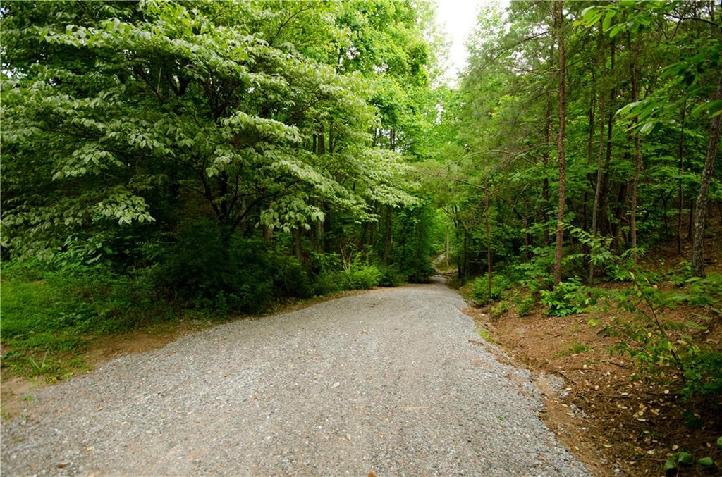 1402 Henderson Mountain Road Jasper, GA 30143 - Photo 73 of 74 a view of a dirt road with trees in the background