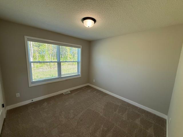 10554 Robinwood Road Chaska, MN 55318 - Photo 8 of 11
