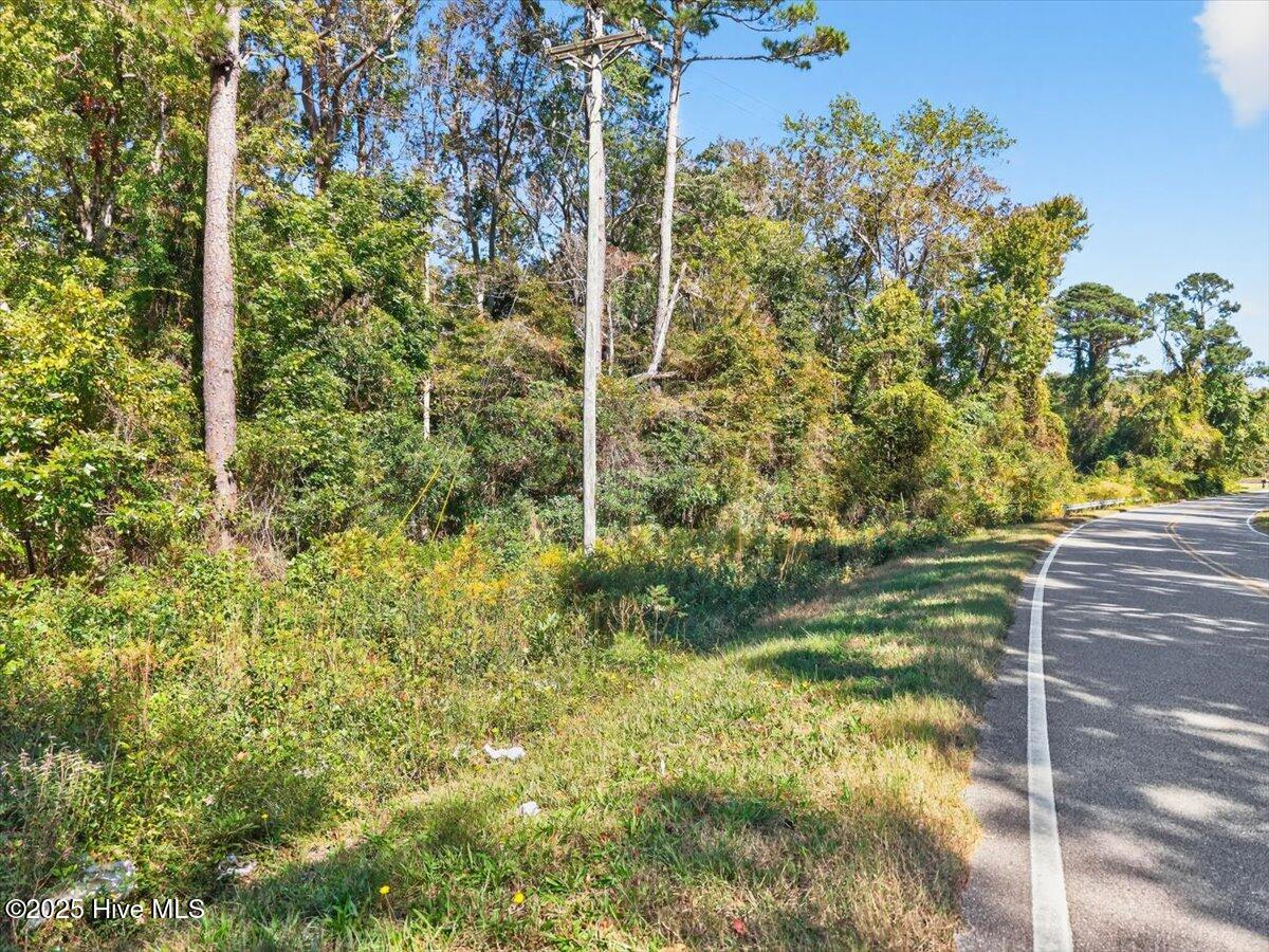 2340 Boones Neck Road Southwest Supply, NC 28462 - Photo 26 of 35 View of the parcel from the street showing road access.