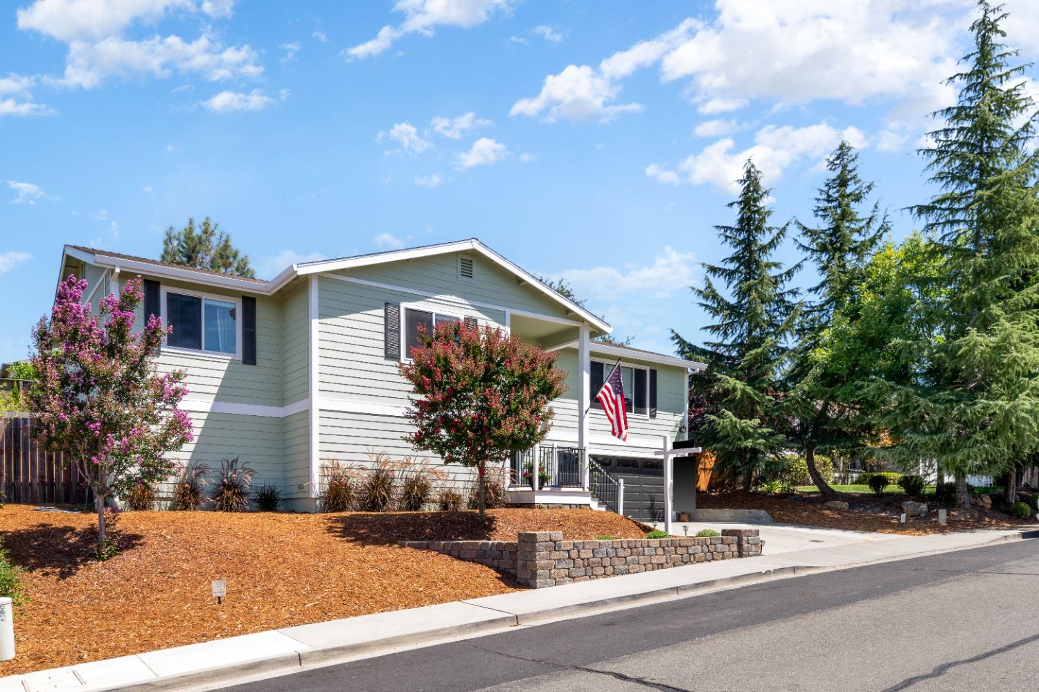 1130 Summer Ridge Court Auburn, CA 95603 - Photo 5 of 56 a front view of a house with yard
