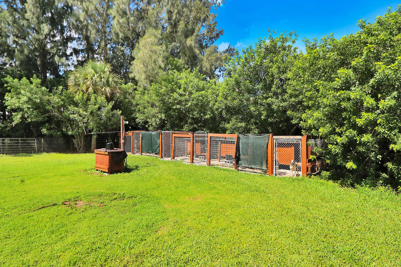 9142 Sandy Run Road Jupiter, FL 33478 - Photo 22 of 27 Dog Kennels