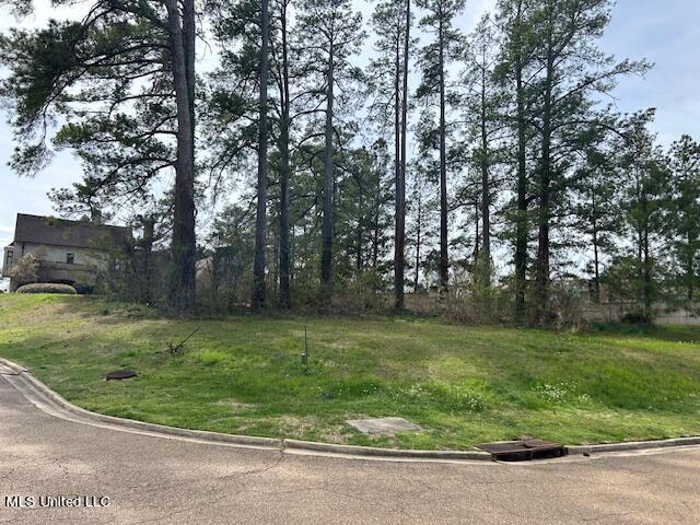 Eastparke Cove Jackson, MS 39211 - Photo 2 of 3 IMG_4371