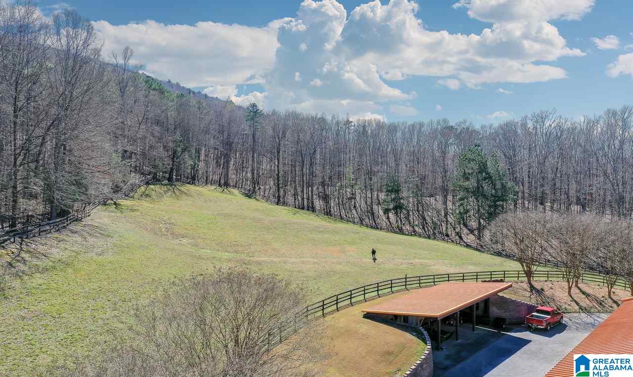 7401 Elliott Lane Southwest Leeds, AL 35094 - Photo 49 of 50