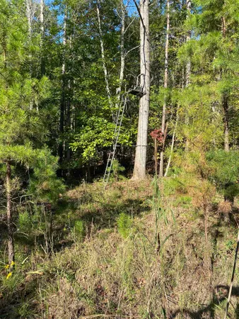 a view of yard covered with snow