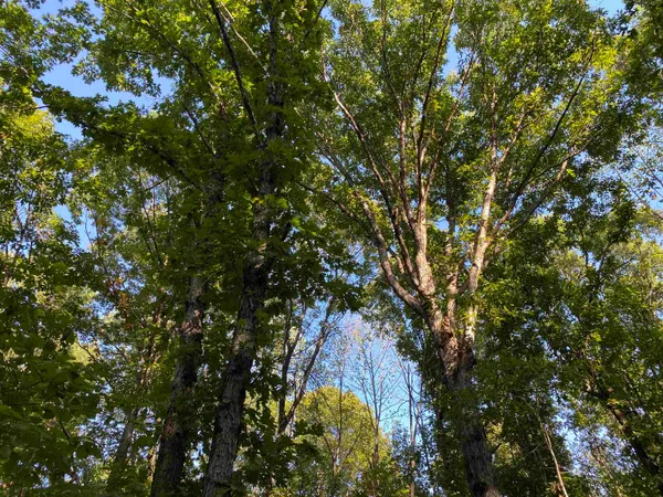 $249,999 | 535 Megan Lane, Savannah, TN 38372