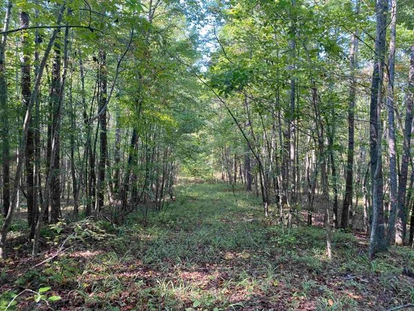 $249,999 | 535 Megan Lane, Savannah, TN 38372