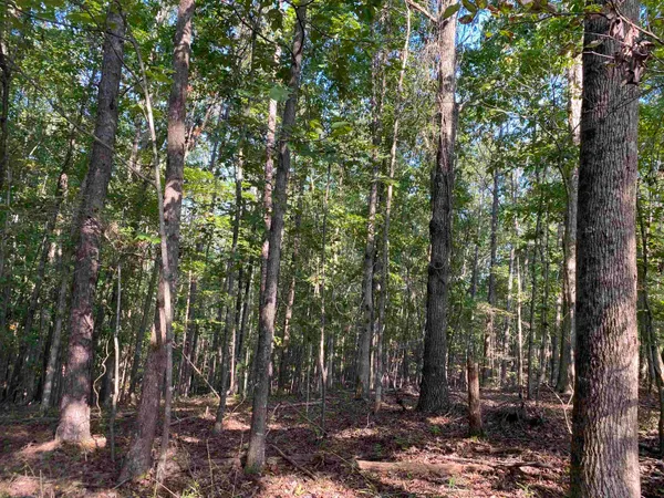 $249,999 | 535 Megan Lane, Savannah, TN 38372