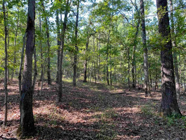 $249,999 | 535 Megan Lane, Savannah, TN 38372