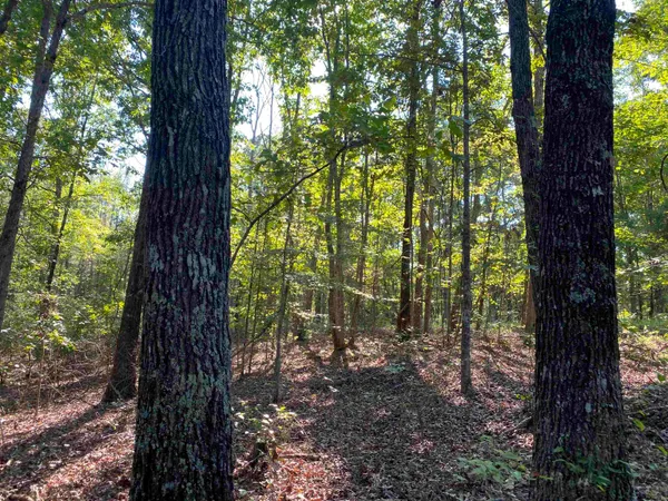 $249,999 | 535 Megan Lane, Savannah, TN 38372