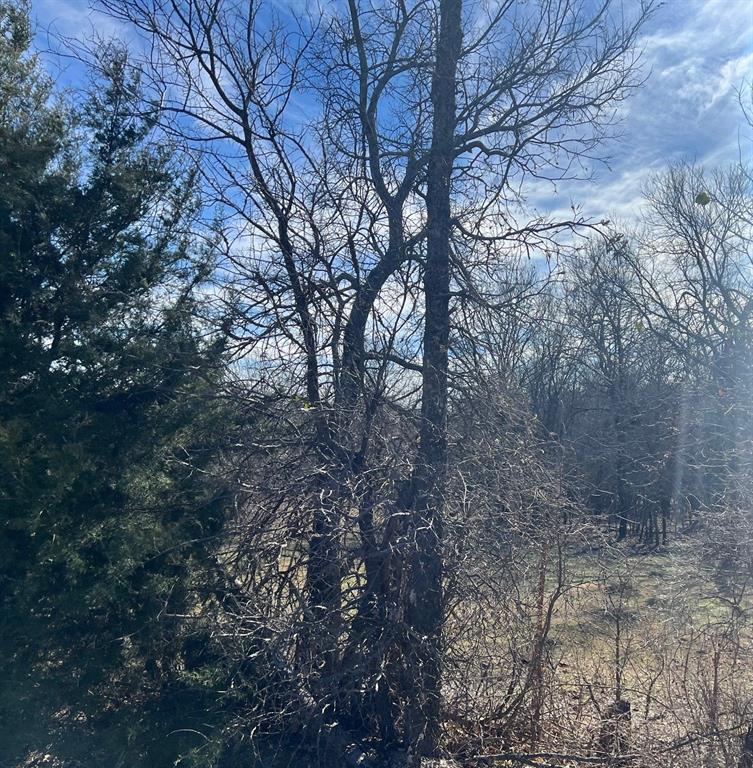 Tbd Keyes Road Sherman, TX 75092 - Photo 11 of 11 a view of forest