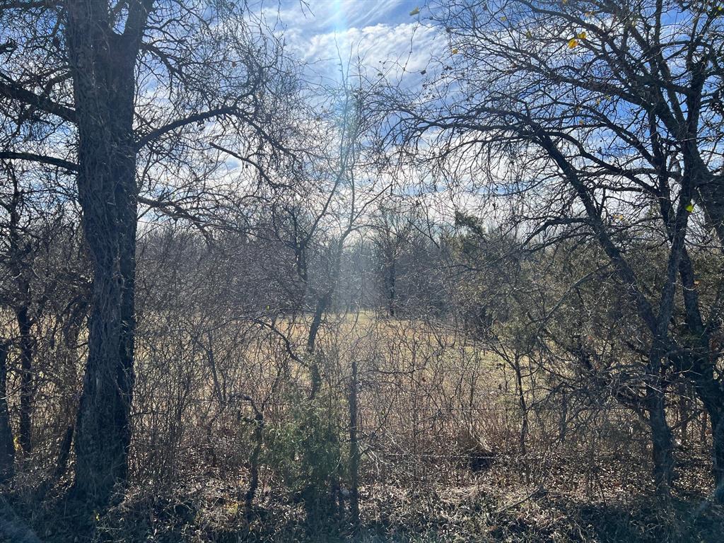 Tbd Keyes Road Sherman, TX 75092 - Photo 10 of 11 a view of mountain view with lots of trees