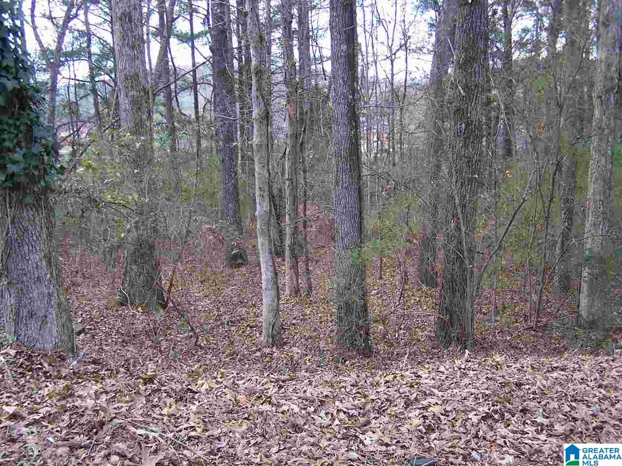 Virginia Street, Unit 6 & 7 Oneonta, AL 35121 - Photo 6 of 7