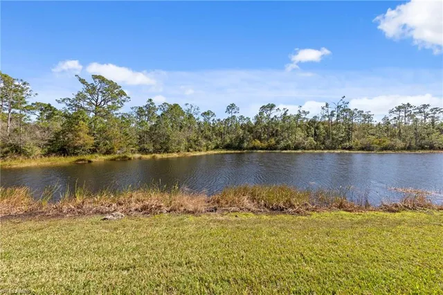 a view of a lake with a city