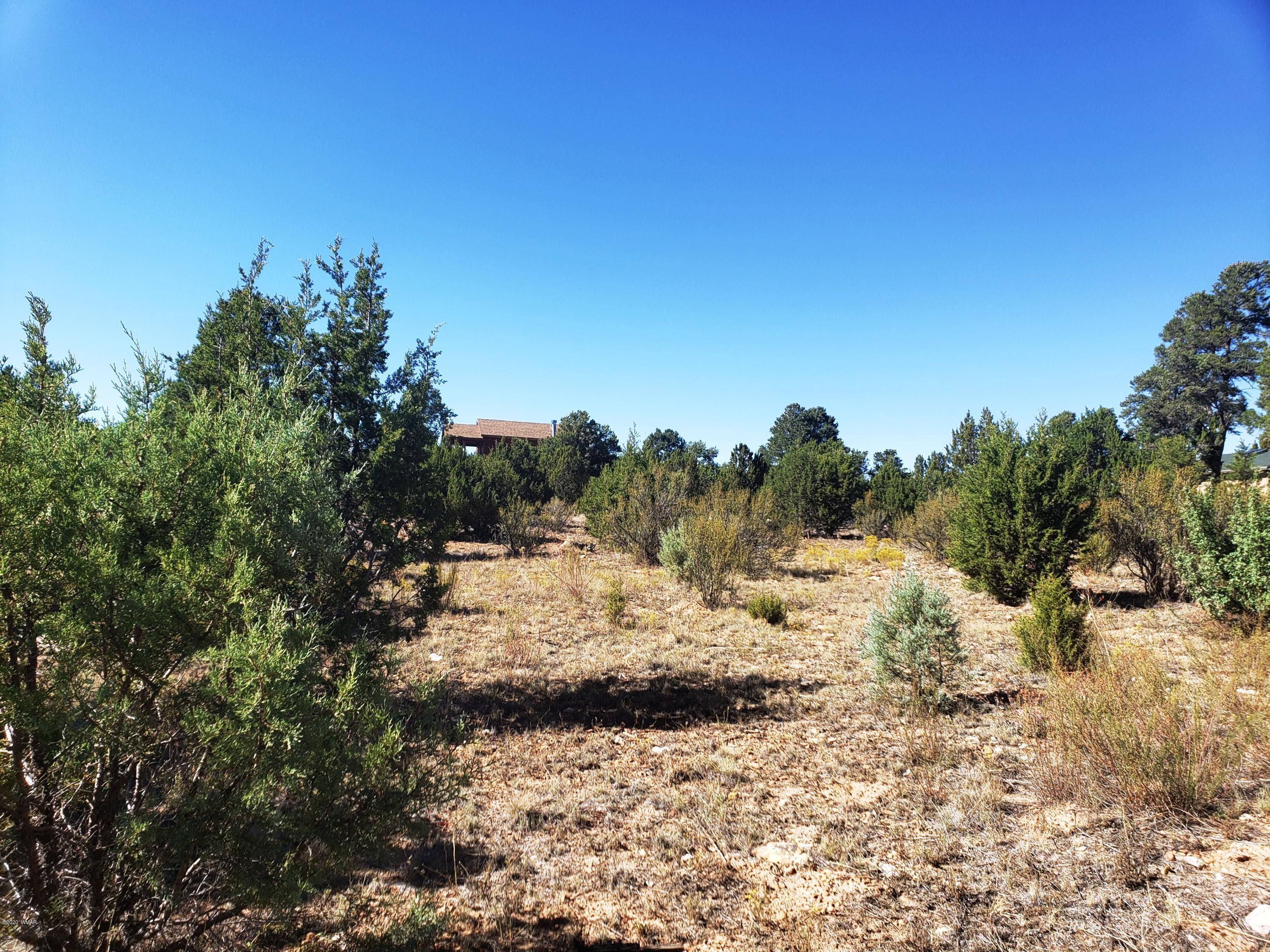 2956 West Lodgepole Road Overgaard, AZ 85933 - Photo 3 of 8