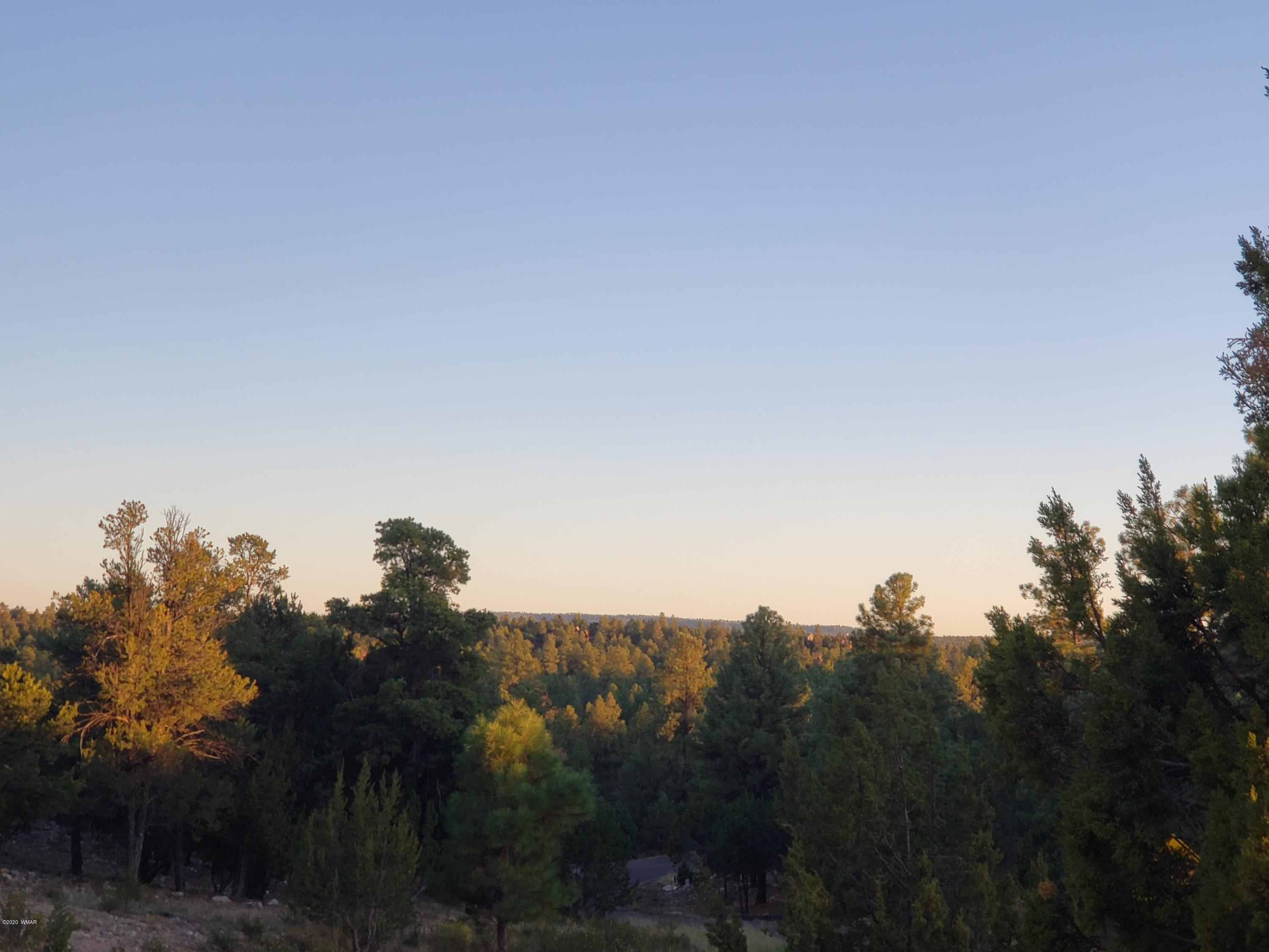 2956 West Lodgepole Road Overgaard, AZ 85933 - Photo 5 of 8