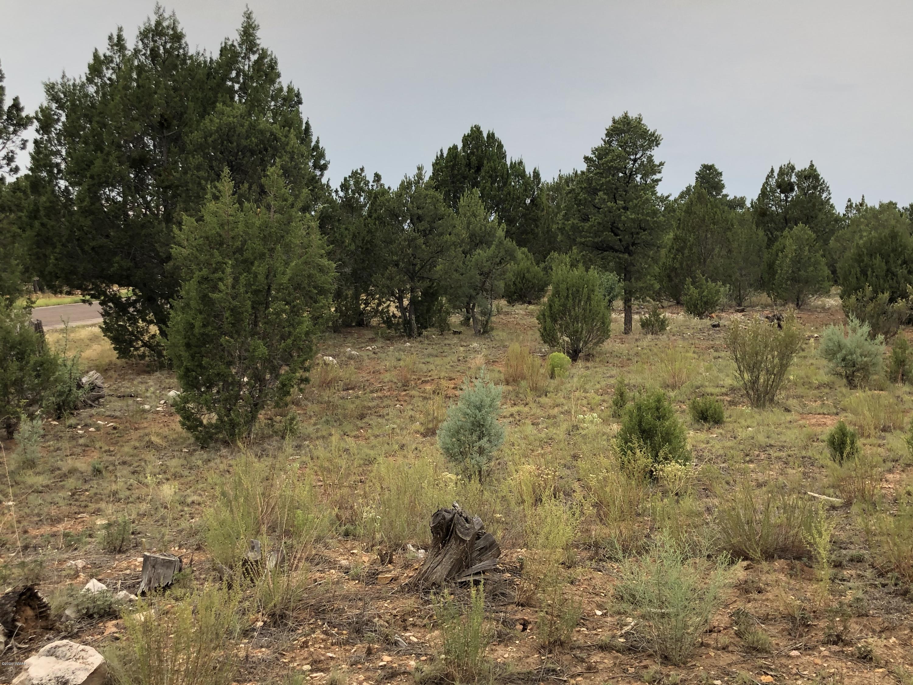 2956 West Lodgepole Road Overgaard, AZ 85933 - Photo 6 of 8
