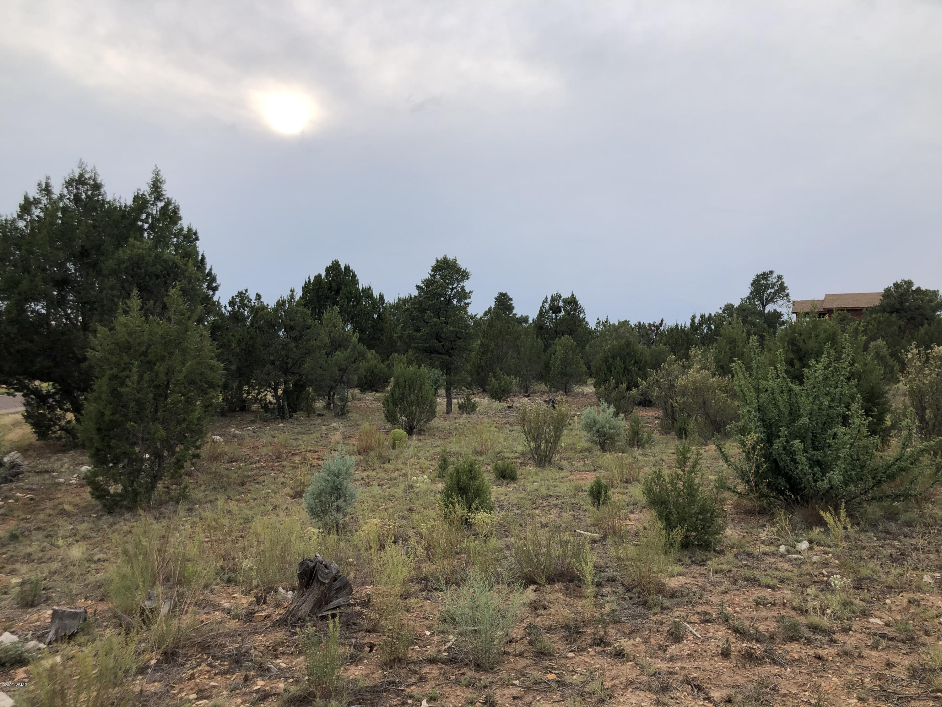 2956 West Lodgepole Road Overgaard, AZ 85933 - Photo 7 of 8