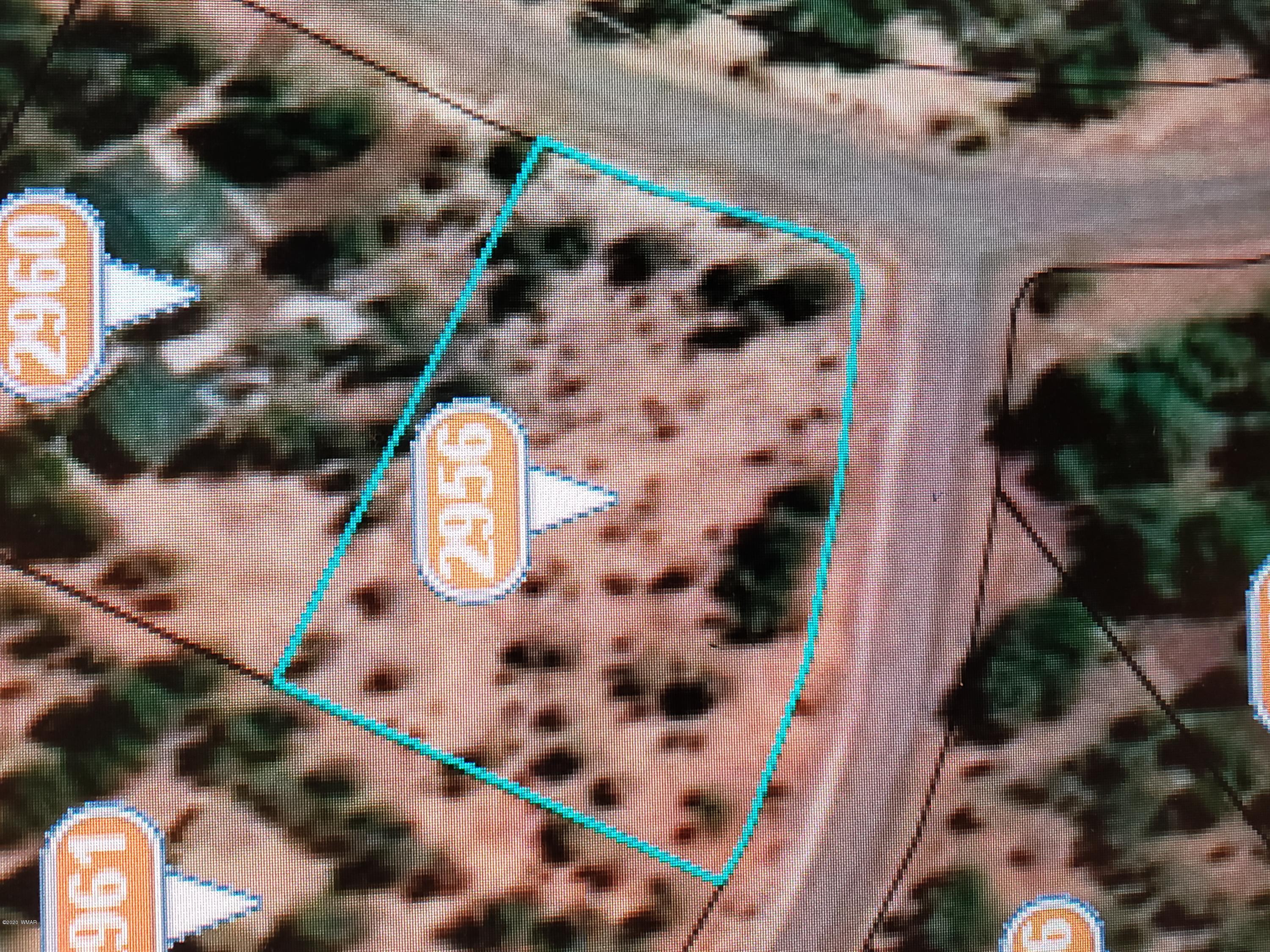 2956 West Lodgepole Road Overgaard, AZ 85933 - Photo 8 of 8