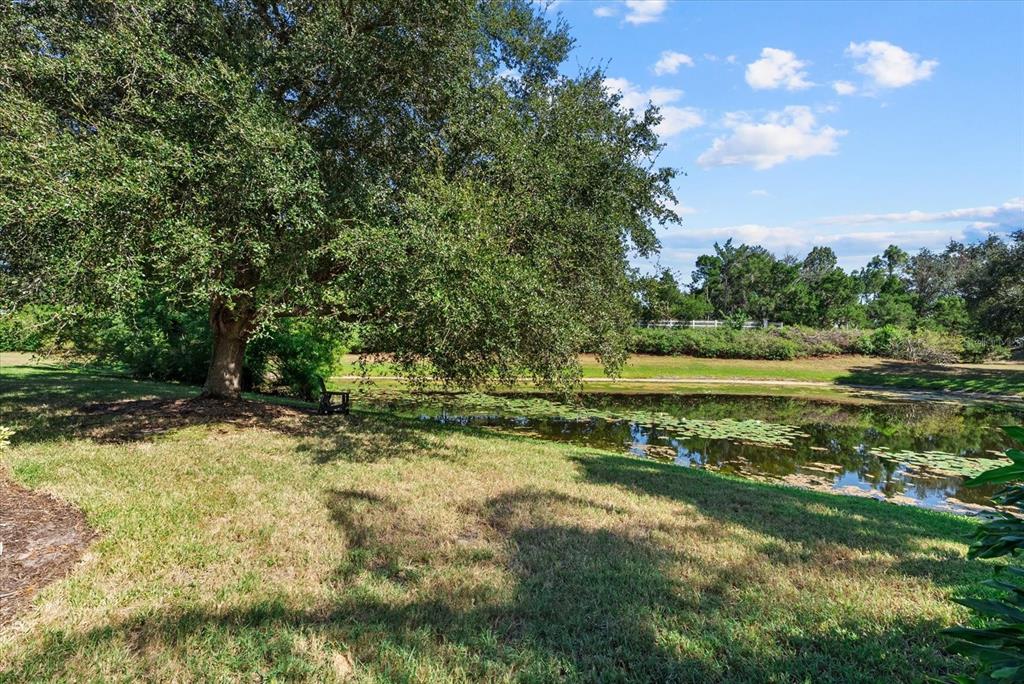 13876 Siena Loop Lakewood Ranch, FL 34202 - Photo 67 of 79