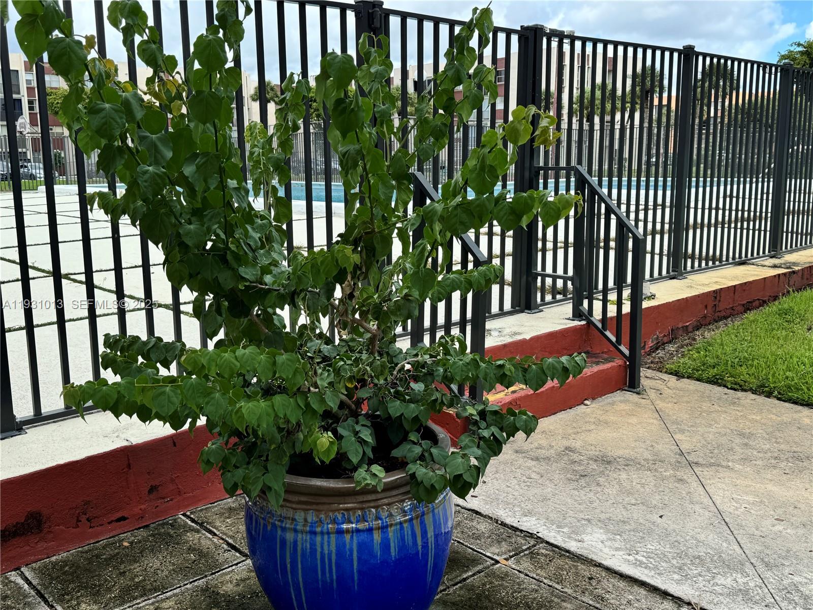 9411 Southwest 4th Street, Unit 111 Miami, FL 33174 - Photo 19 of 28 a view of a backyard with plants and flowers