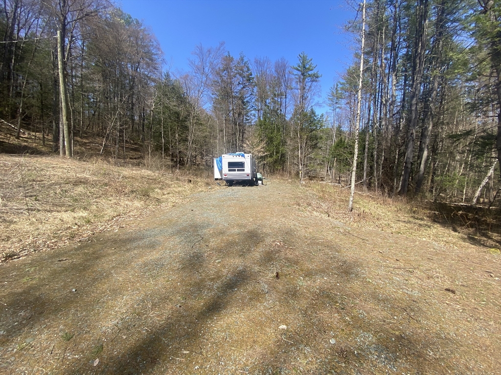 0 Schaefer Way Charlemont, MA 01339 - Photo 11 of 16 a view of backyard with trees