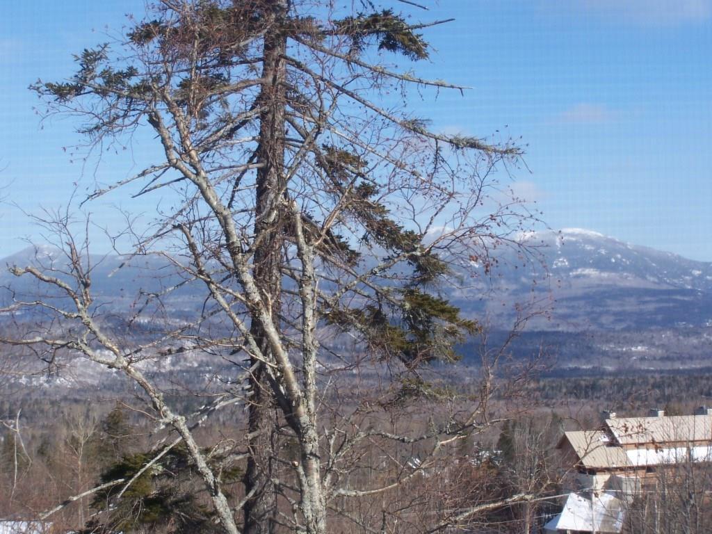 720 Webber Street, Unit 720 Kingfield, ME 04947 - Photo 11 of 11 Photo