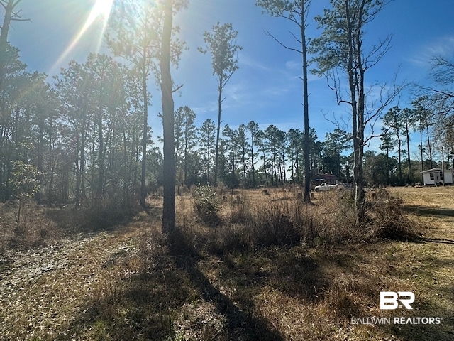 17245 County Road 87 Elberta, AL 36530 - Photo 7 of 11