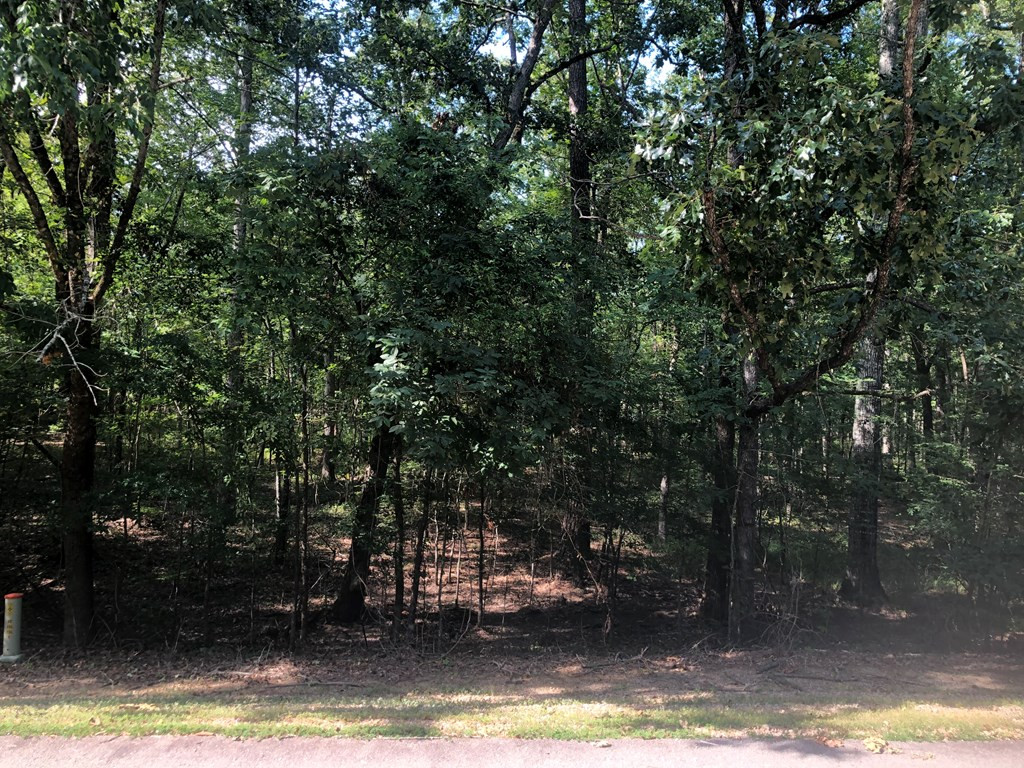Lot 6 Plantation Point Road Lincolnton, GA 30817 - Photo 3 of 5