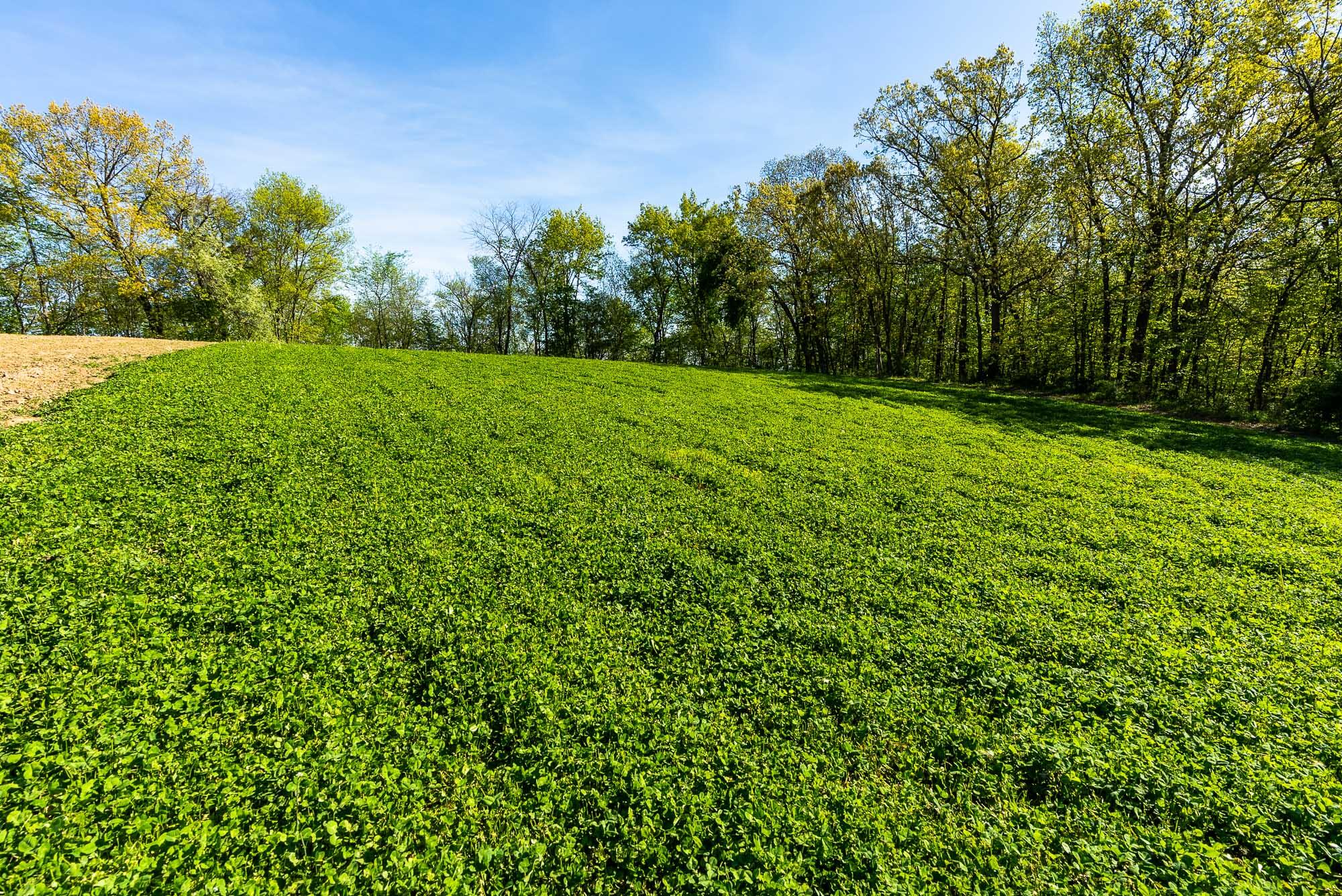 15999 Biba Road Muscoda, WI 53573 - Photo 56 of 103 Grant-County-WI-160-Acres-Land-For-Sale-