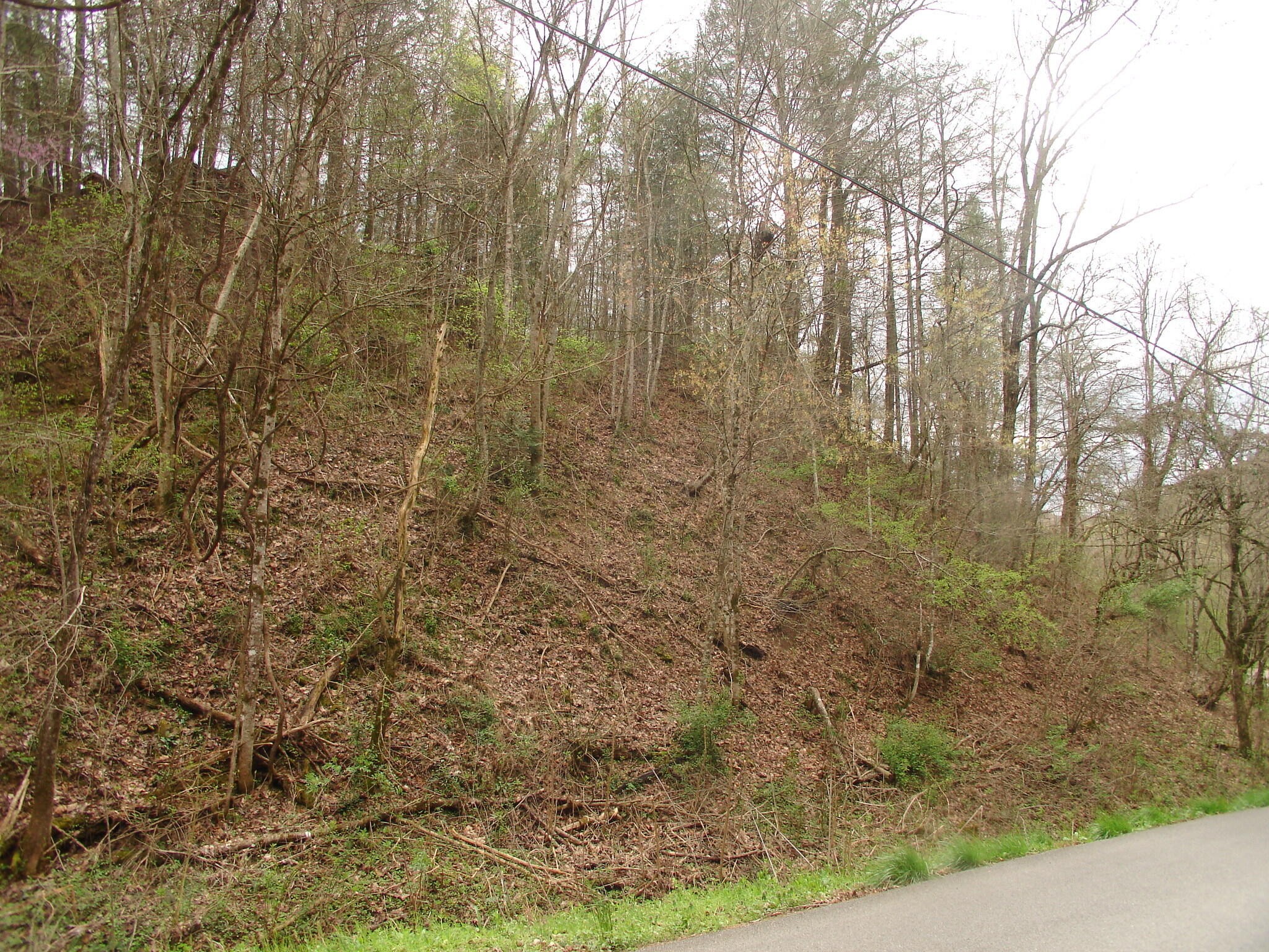 1 Jones Cove Road Sevierville, TN 37876 - Photo 3 of 12