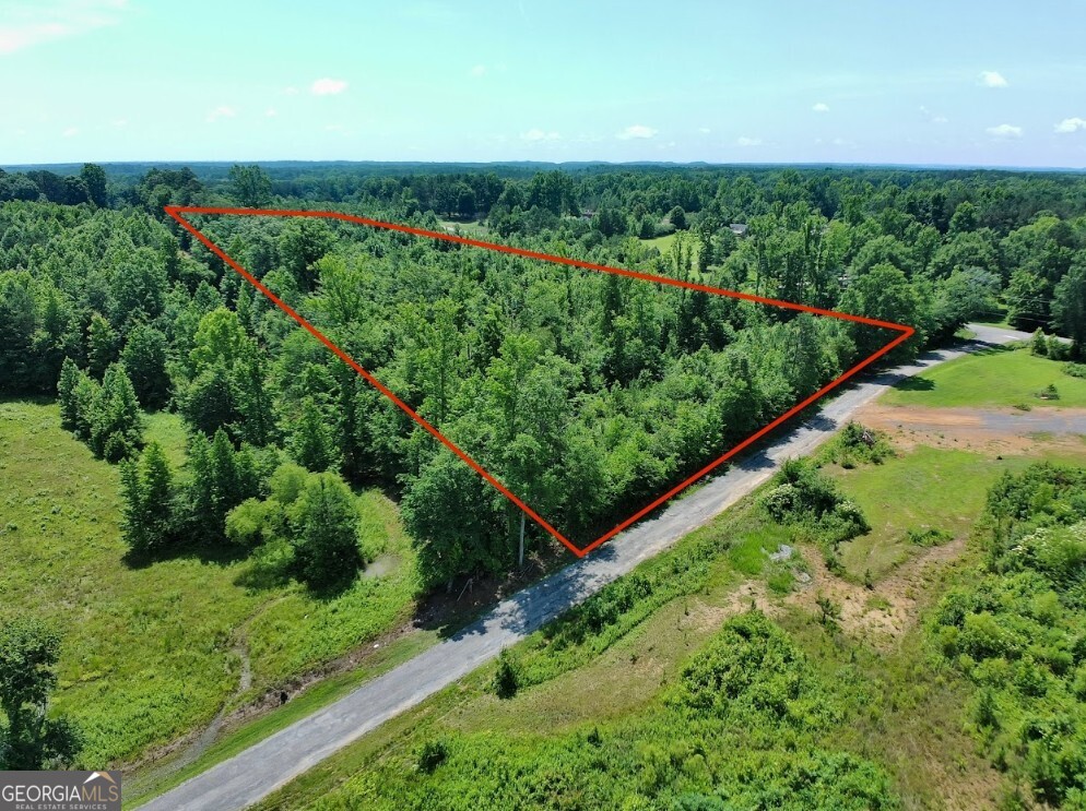 0 Prospect Road Nauvoo, AL 35578 - Photo 18 of 19