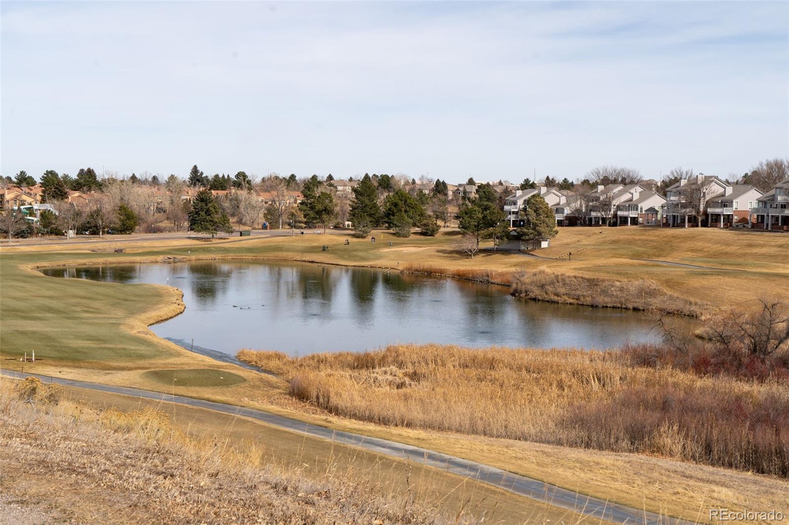 9838 Cypress Point Circle Lone Tree, CO 80124 - Photo 46 of 50 a view of a lake with houses