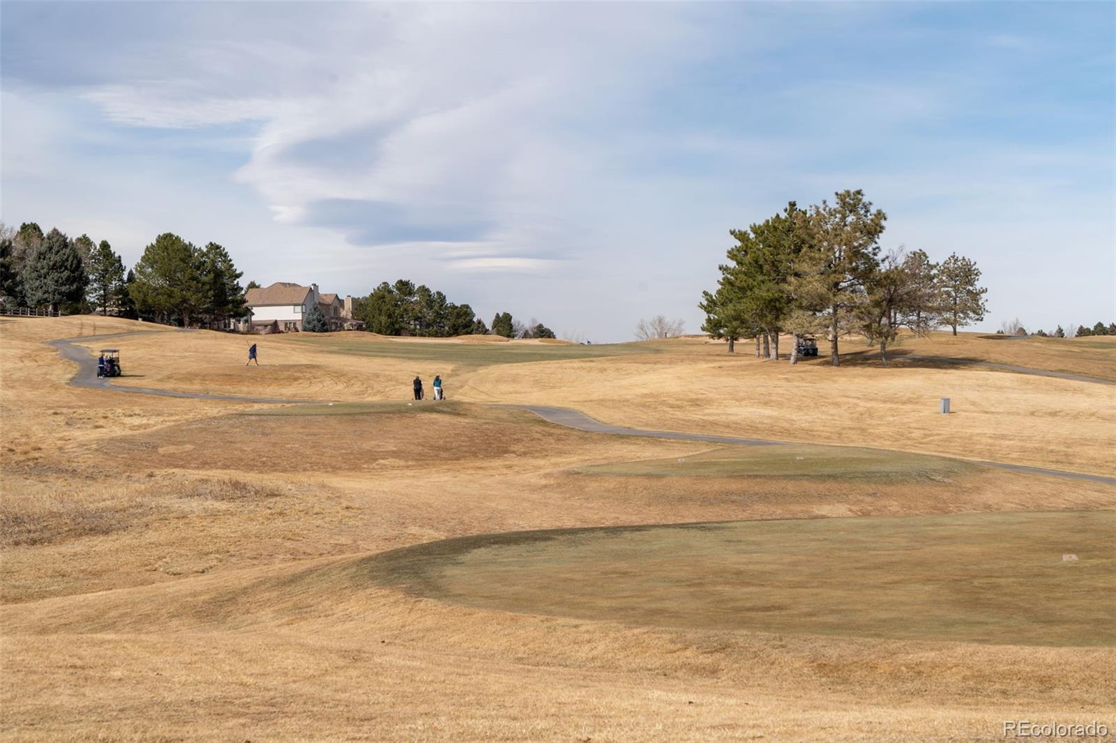 9838 Cypress Point Circle Lone Tree, CO 80124 - Photo 48 of 50 a view of an ocean and beach