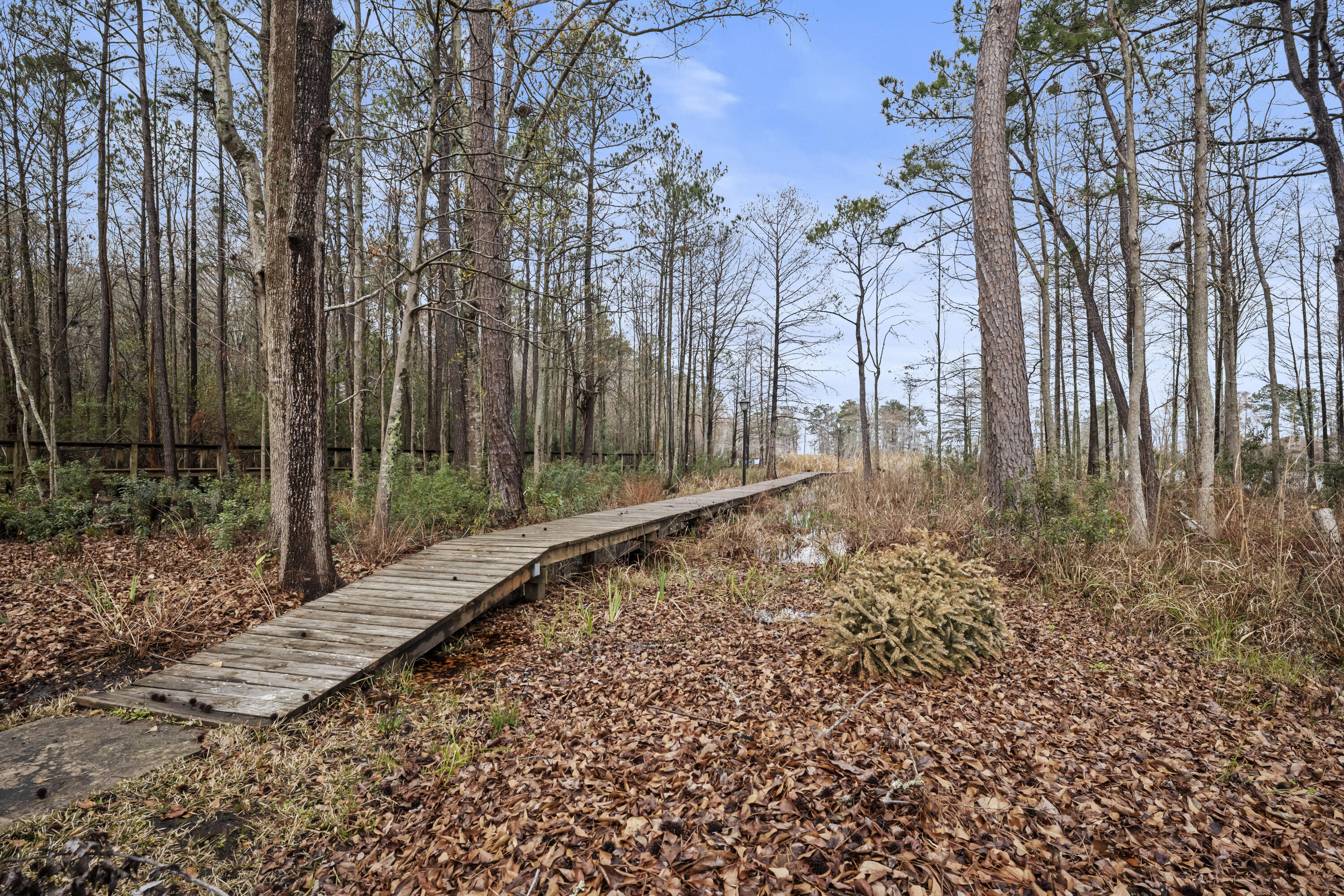 107 Jack's Lane Bonneau, SC 29431 - Photo 13 of 22 P1080717