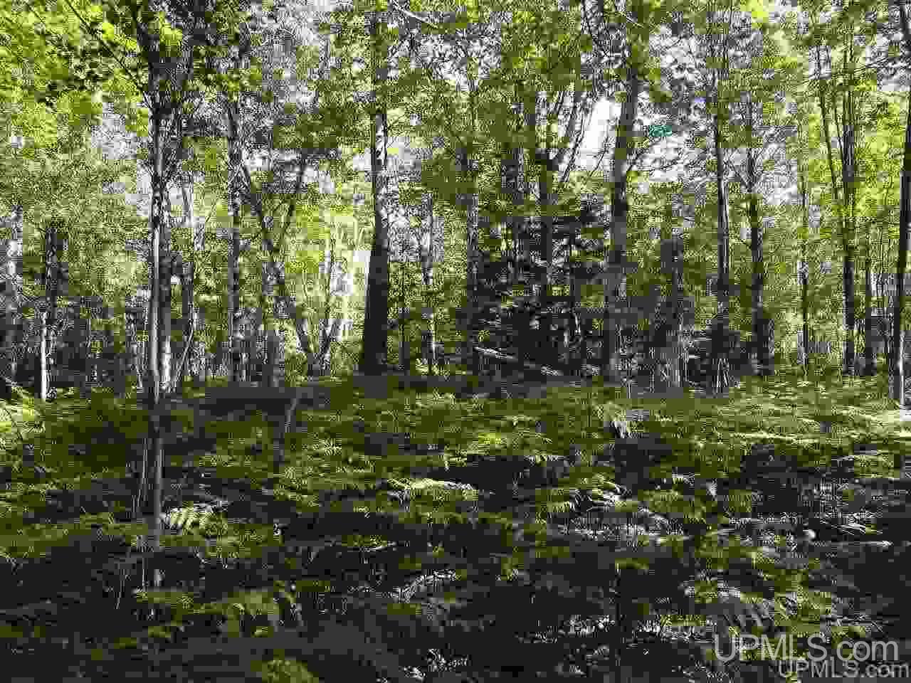 Tbd Freda Road Atlantic Mine, MI 49905 - Photo 13 of 17
