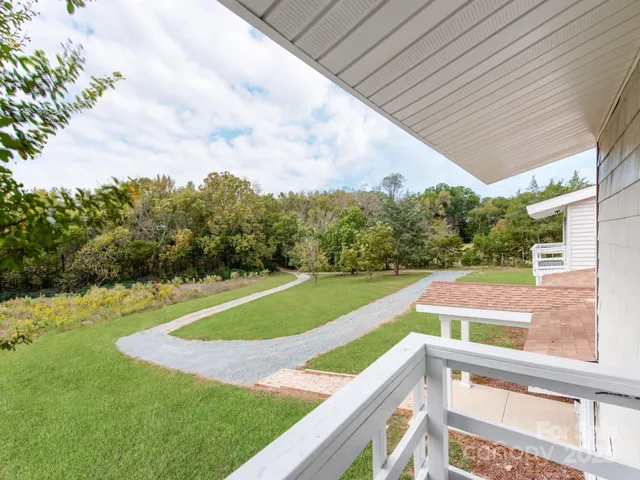 a view of a backyard with a large tree