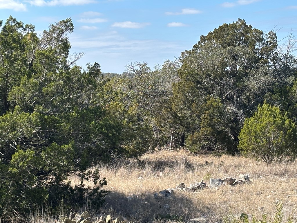 5745 Other Rocksprings, TX 78880 - Photo 11 of 28