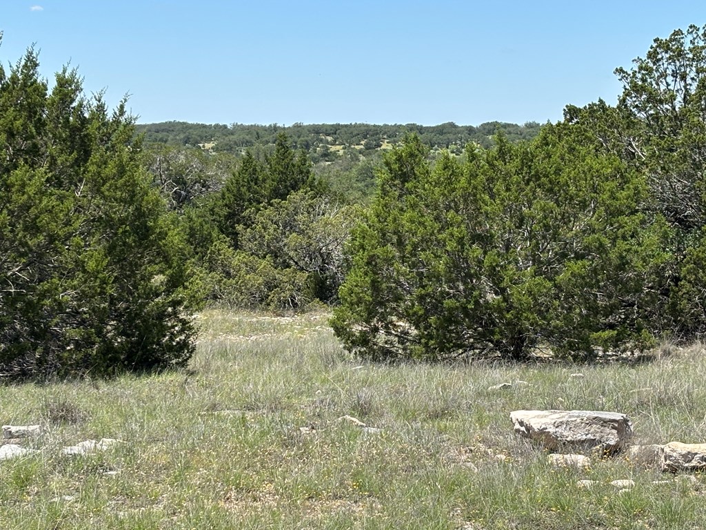 5745 Other Rocksprings, TX 78880 - Photo 11 of 29