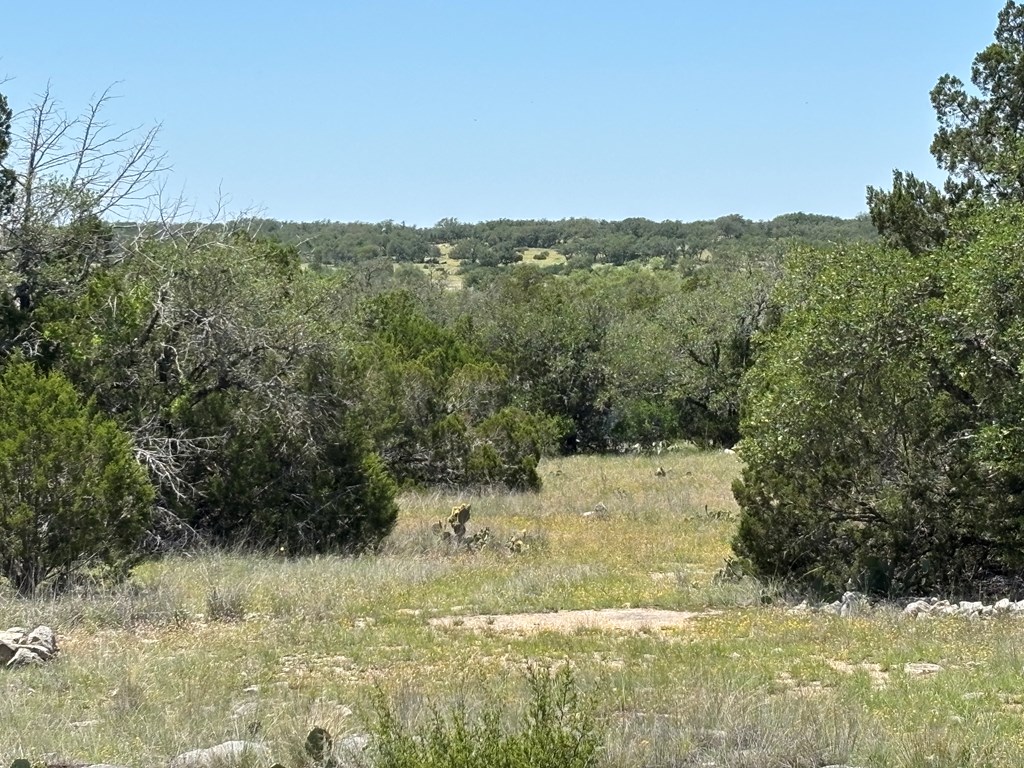 5745 Other Rocksprings, TX 78880 - Photo 12 of 29