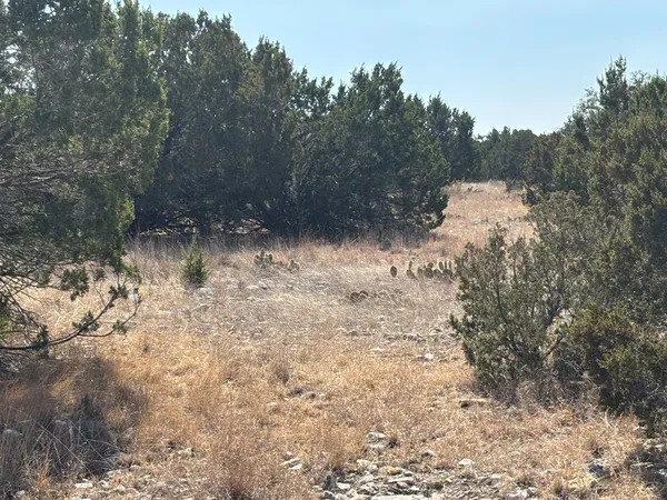 $120,500 | 5745 Other, Rocksprings, TX 78880