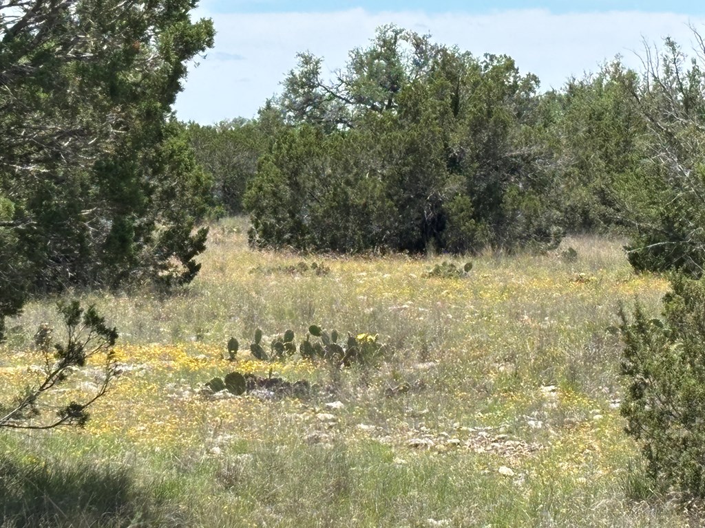 5745 Other Rocksprings, TX 78880 - Photo 13 of 29