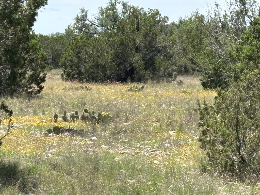 5745 Other Rocksprings, TX 78880 - Photo 14 of 29