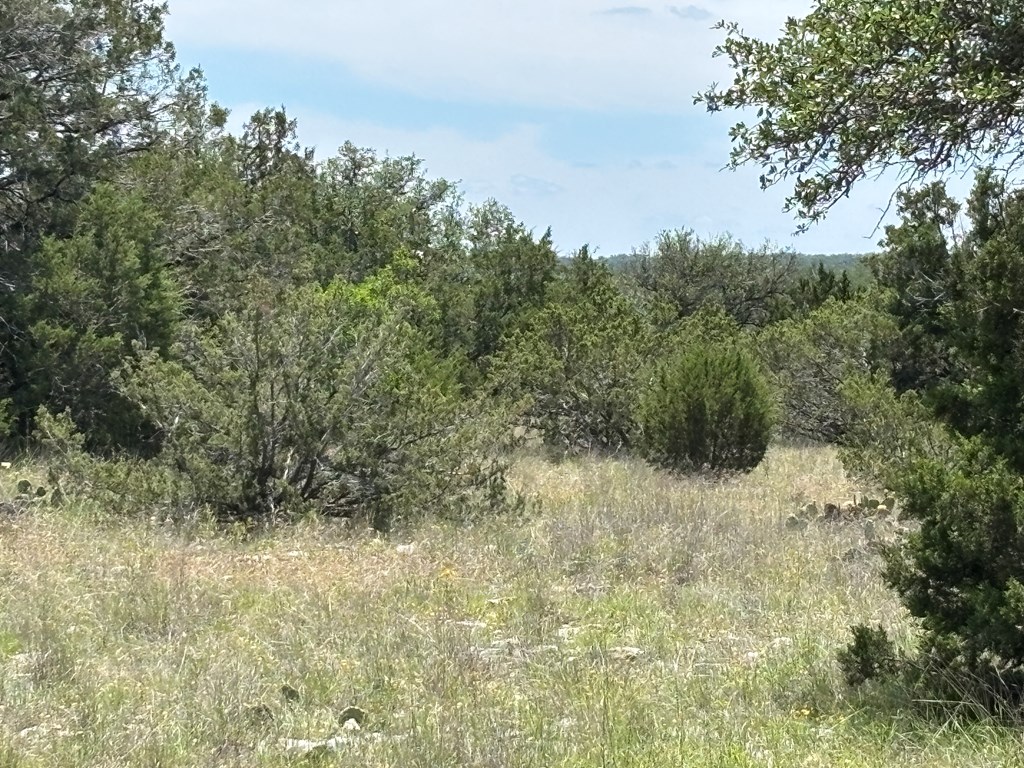 5745 Other Rocksprings, TX 78880 - Photo 15 of 29