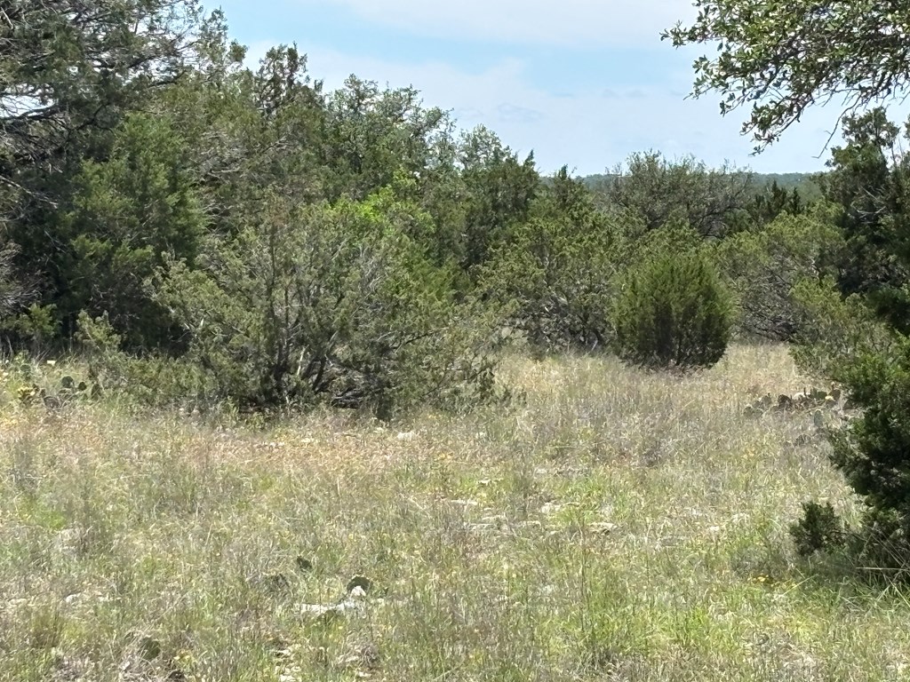 5745 Other Rocksprings, TX 78880 - Photo 16 of 29