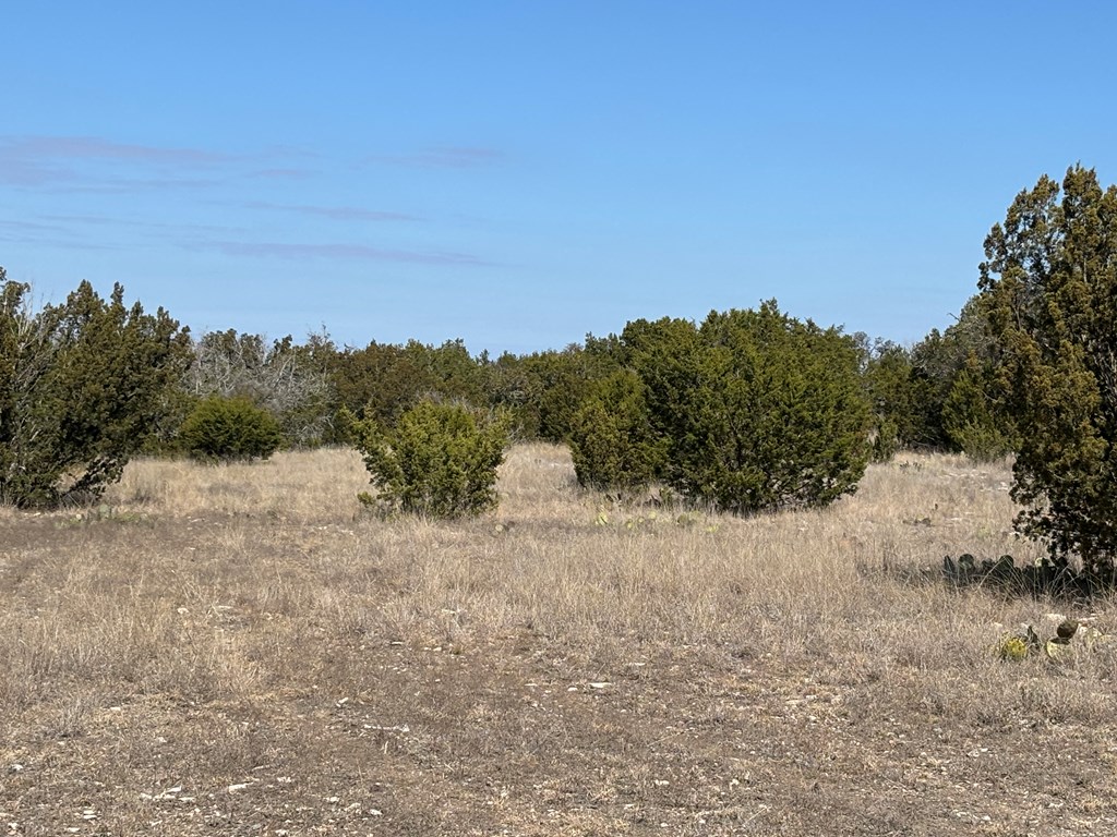 5745 Other Rocksprings, TX 78880 - Photo 17 of 28