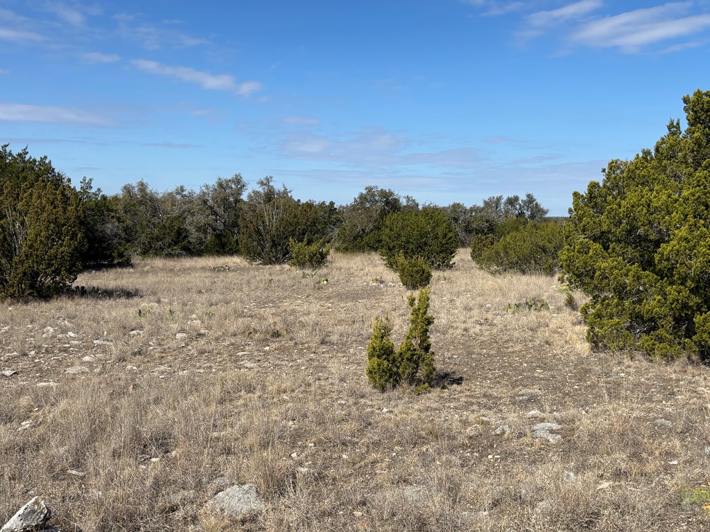 5745 Other Rocksprings, TX 78880 - Photo 18 of 28