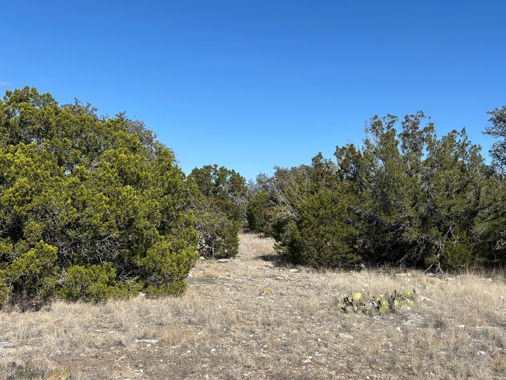 5745 Other Rocksprings, TX 78880 - Photo 19 of 28