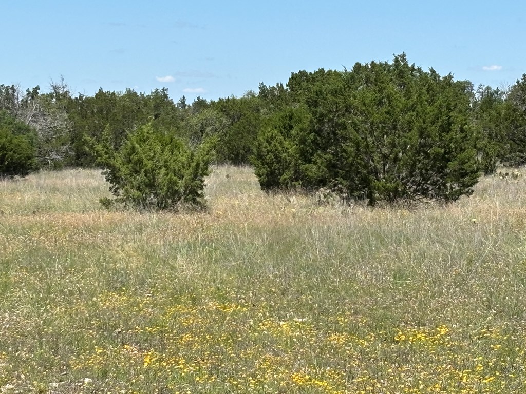 5745 Other Rocksprings, TX 78880 - Photo 20 of 29