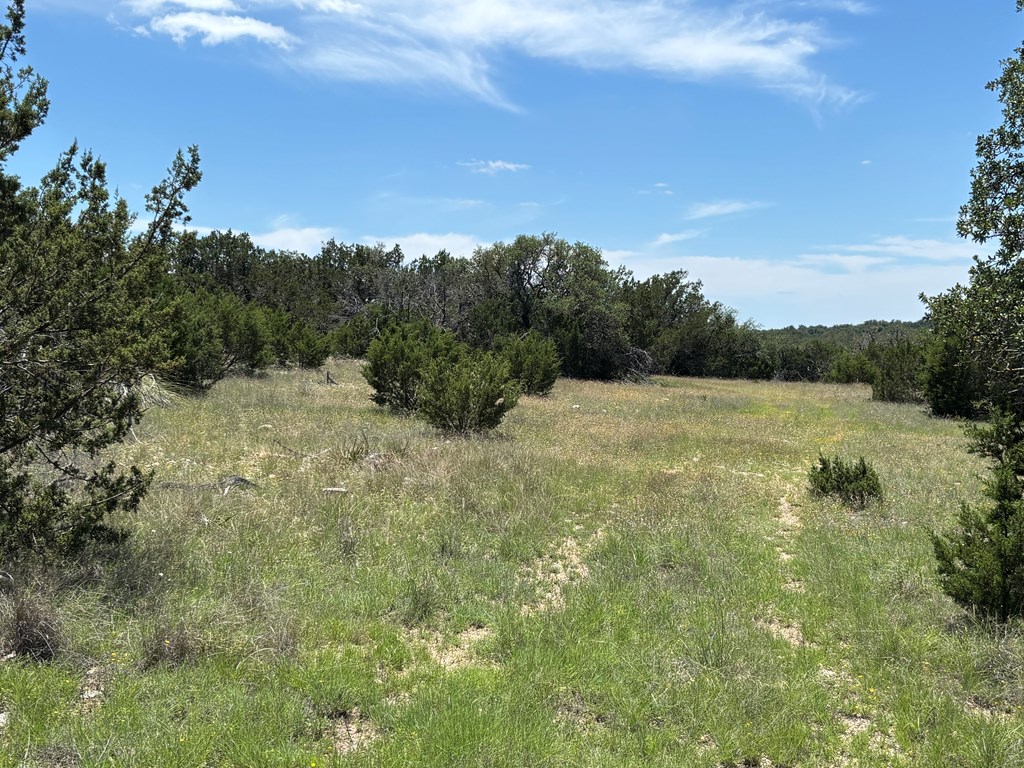 5745 Other Rocksprings, TX 78880 - Photo 2 of 29