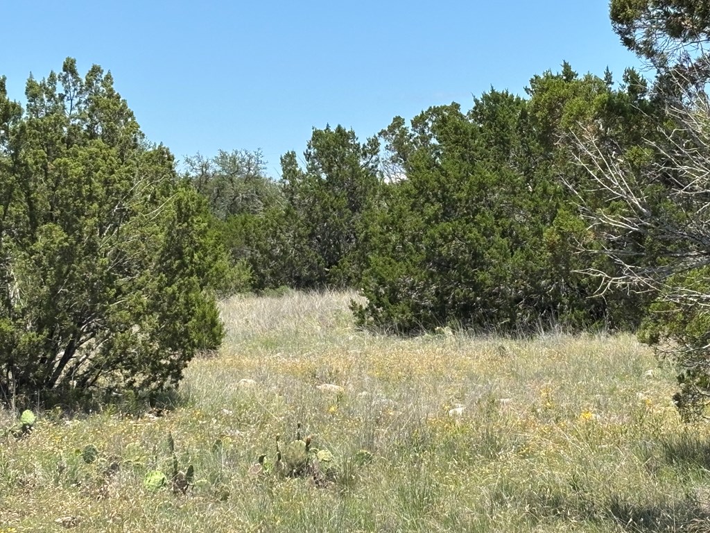 5745 Other Rocksprings, TX 78880 - Photo 22 of 29